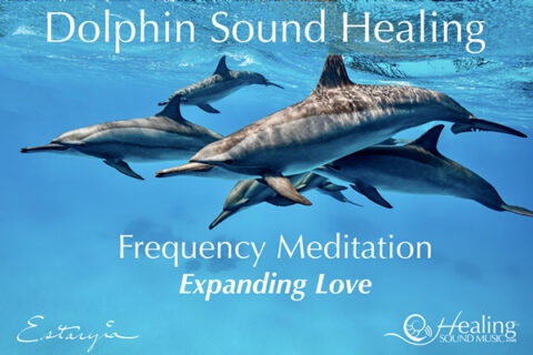 dolphin sounds